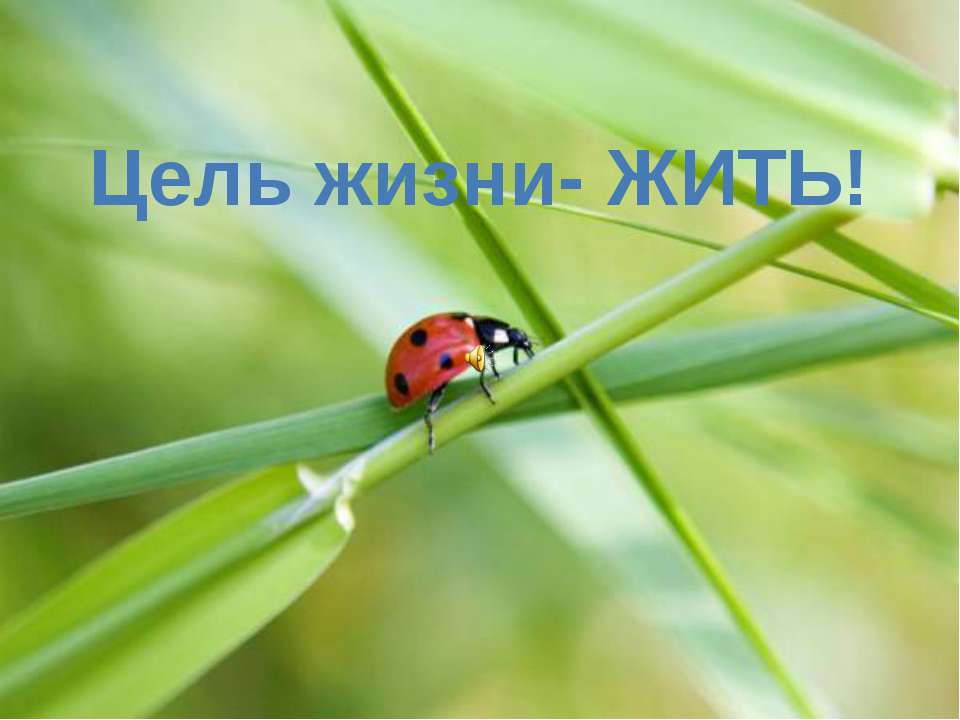 Цель жизни- жить  - Скачать презентации бесплатно | Читать или скачать учебники для школы онлайн бесплатно ☑ Школьные учебники school-textbook.com
