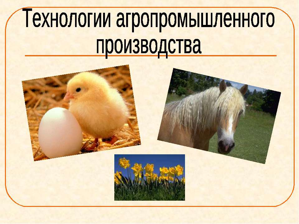 Технологии агропромышленного производства - Скачать презентации бесплатно ☑ Презентации по предметам на gdz-books.ru
