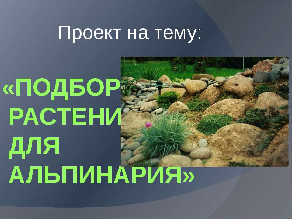 Подбор растений для Альпинария - Скачать презентации бесплатно ☑ Презентации по предметам на gdz-books.ru