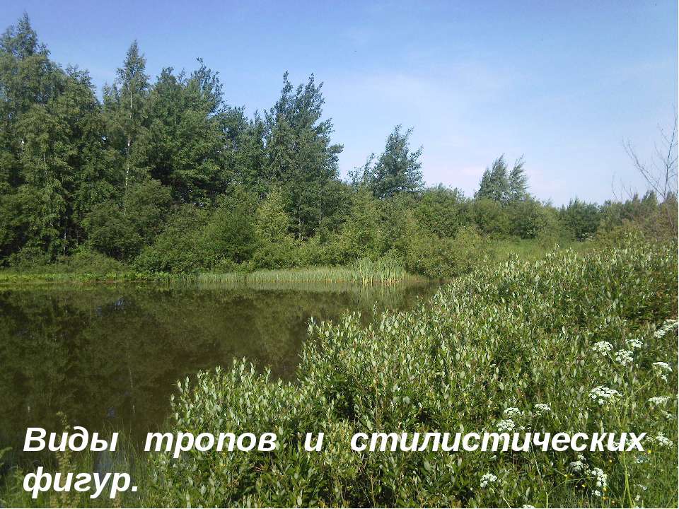 Виды тропов и стилистических фигур  - Скачать презентации бесплатно | Читать или скачать учебники для школы онлайн бесплатно ☑ Школьные учебники school-textbook.com