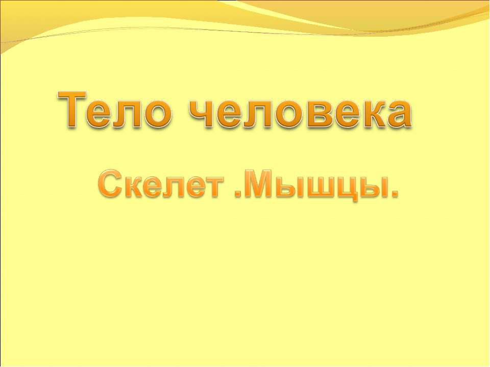 Тело человека Скелет .Мышцы  - Скачать презентации бесплатно | Читать или скачать учебники для школы онлайн бесплатно ☑ Школьные учебники school-textbook.com