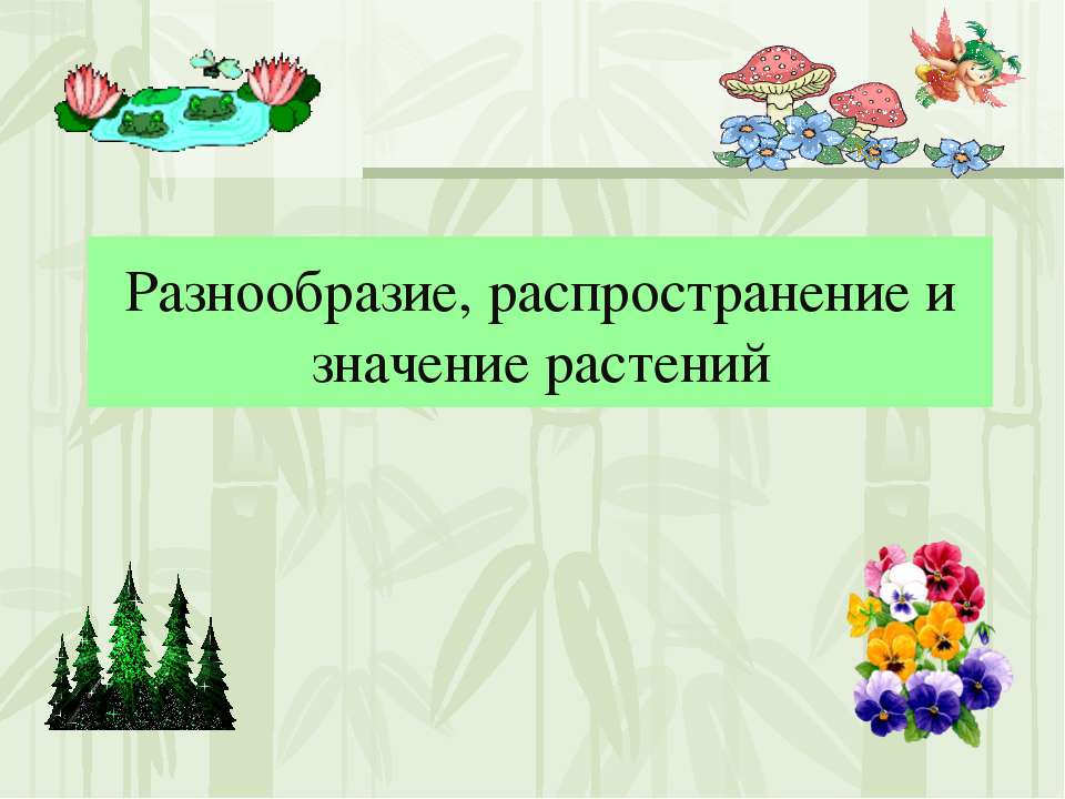 Разнообразие, распространение и значение растений  - Скачать презентации бесплатно | Читать или скачать учебники для школы онлайн бесплатно ☑ Школьные учебники school-textbook.com