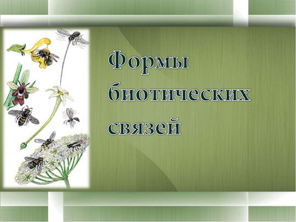 Формы биотических связей  - Скачать презентации бесплатно | Читать или скачать учебники для школы онлайн бесплатно ☑ Школьные учебники school-textbook.com