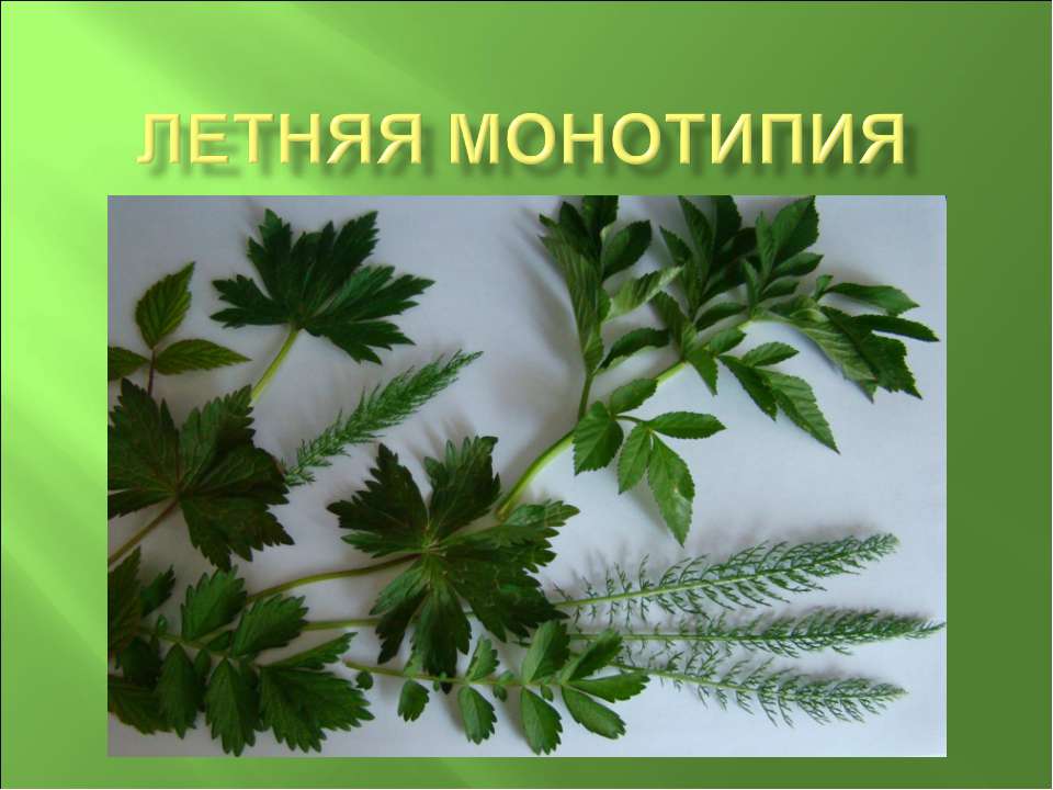 Летняя монотипия  - Скачать презентации бесплатно | Читать или скачать учебники для школы онлайн бесплатно ☑ Школьные учебники school-textbook.com