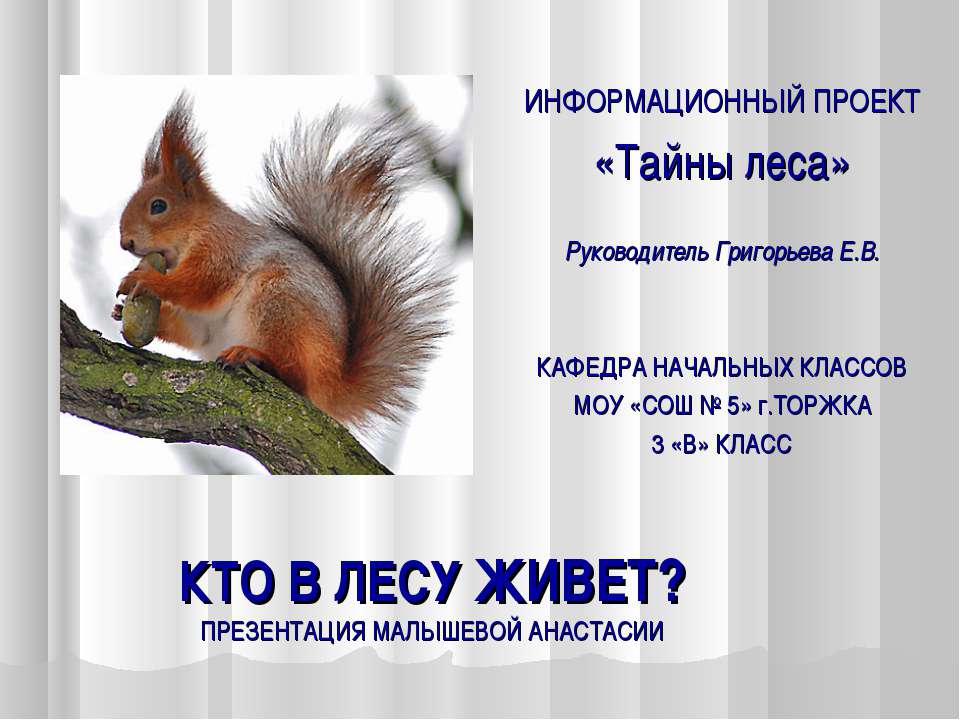 Кто в лесу живет?  - Скачать презентации бесплатно | Читать или скачать учебники для школы онлайн бесплатно ☑ Школьные учебники school-textbook.com