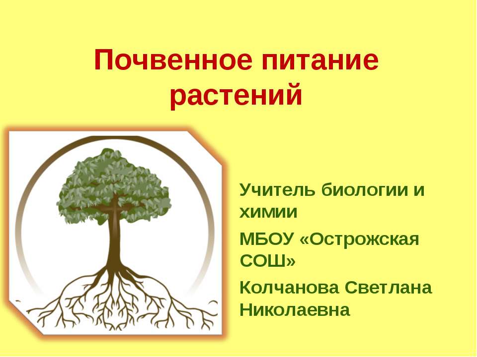 Почвенное питание растений  - Скачать презентации бесплатно | Читать или скачать учебники для школы онлайн бесплатно ☑ Школьные учебники school-textbook.com