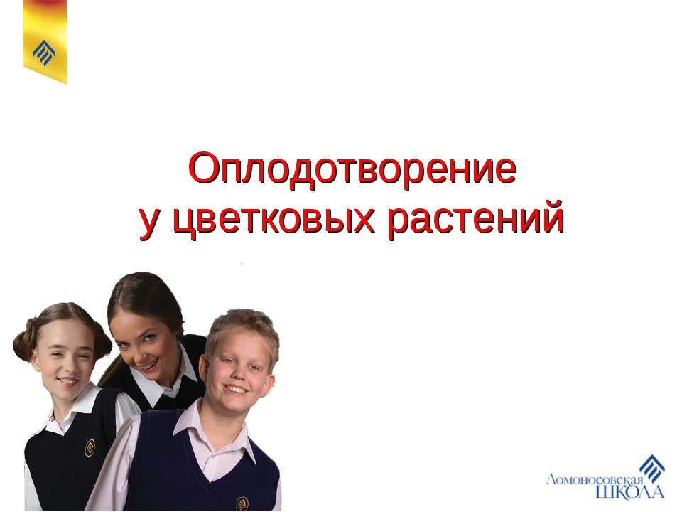 Оплодотворение у цветковых растений  - Скачать презентации бесплатно | Читать или скачать учебники для школы онлайн бесплатно ☑ Школьные учебники school-textbook.com