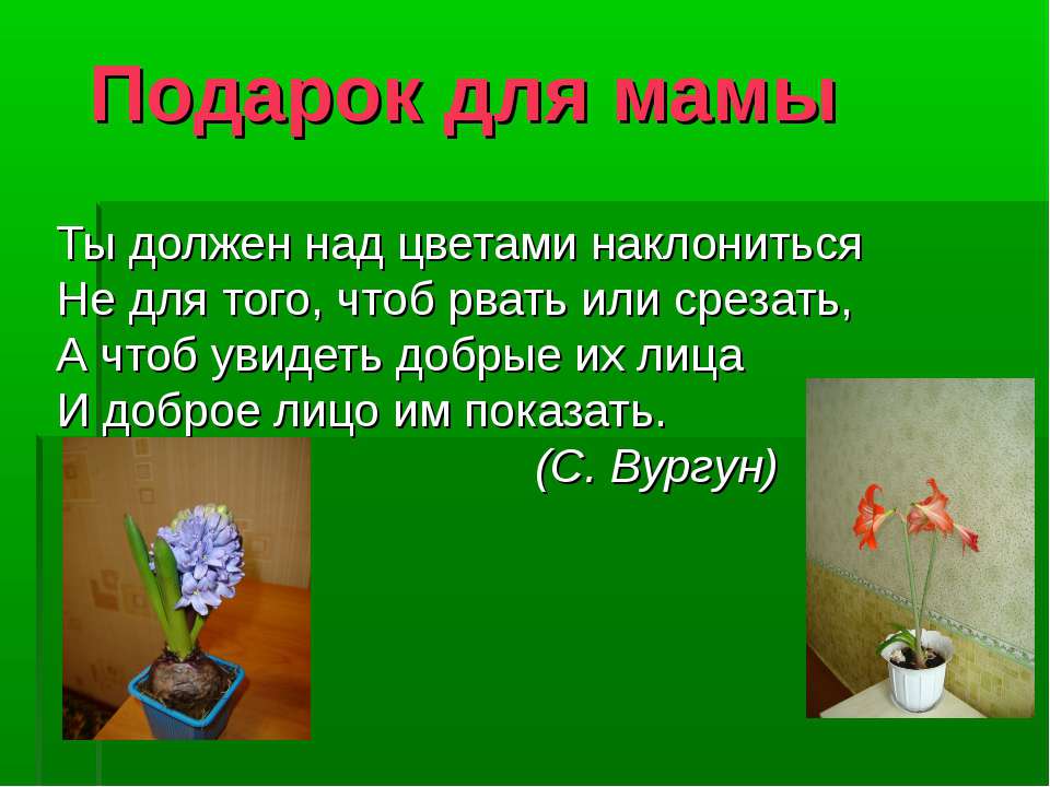 Комнатные растения — наши друзья  - Скачать презентации бесплатно | Читать или скачать учебники для школы онлайн бесплатно ☑ Школьные учебники school-textbook.com