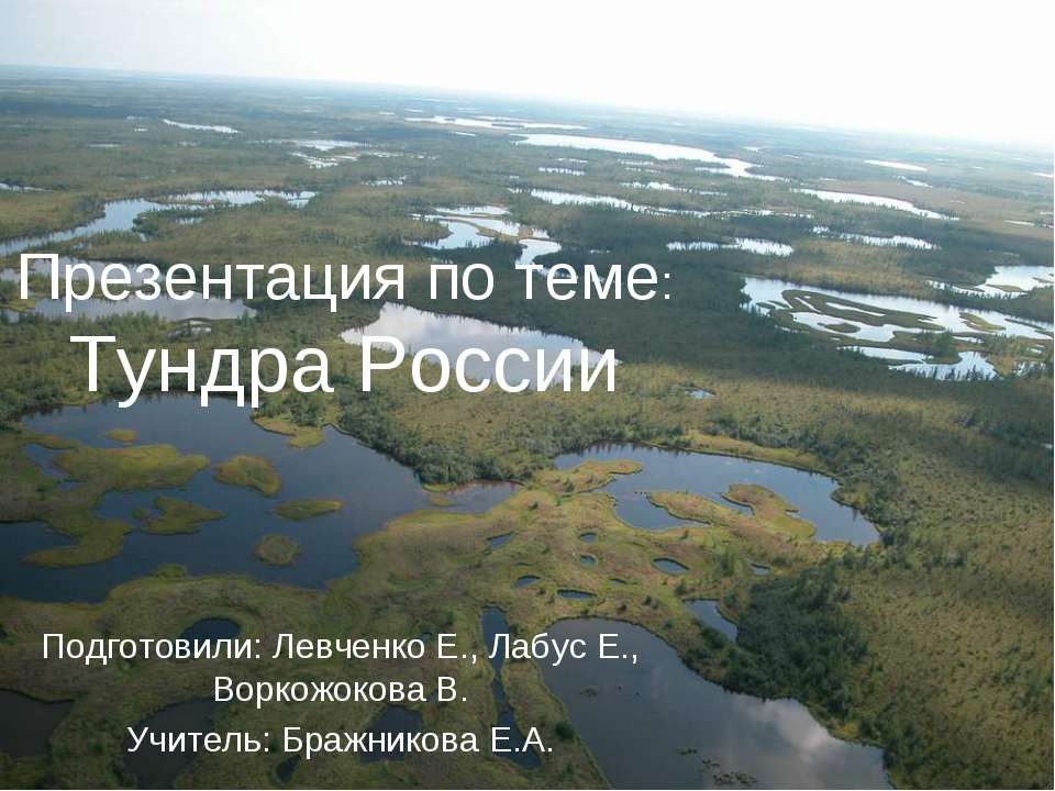 Тундра России  - Скачать презентации бесплатно | Читать или скачать учебники для школы онлайн бесплатно ☑ Школьные учебники school-textbook.com