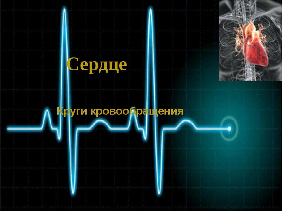 Сердце. Круги кровообращения  - Скачать презентации бесплатно | Читать или скачать учебники для школы онлайн бесплатно ☑ Школьные учебники school-textbook.com