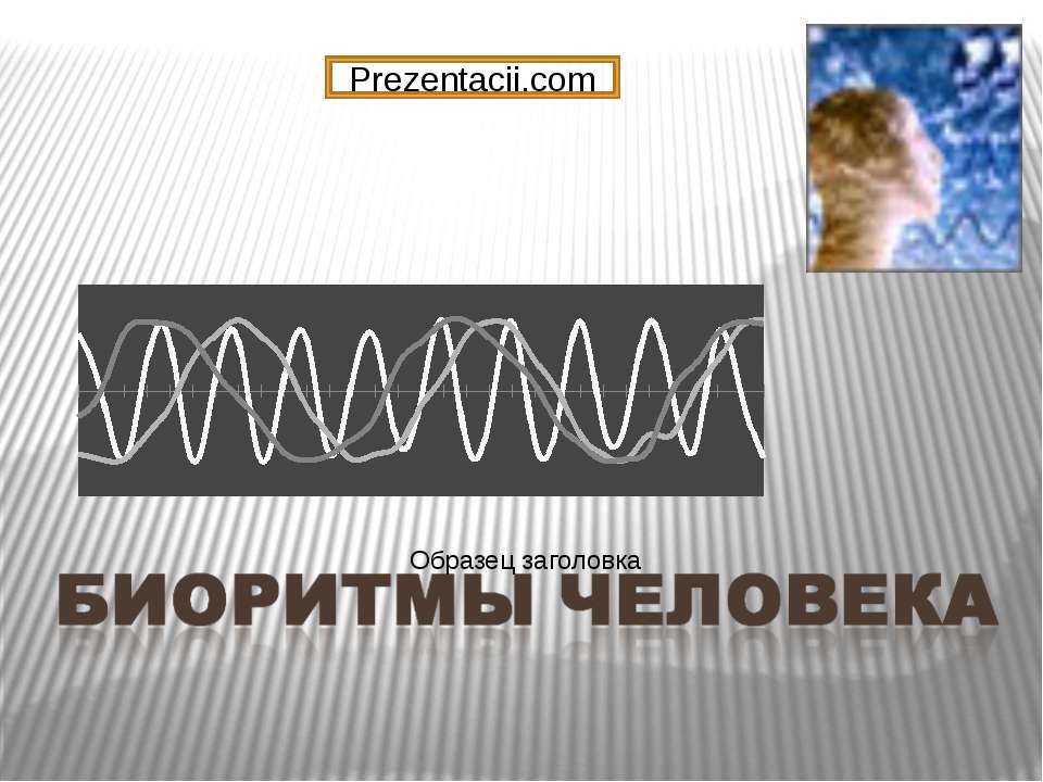 Биоритмы человека - Скачать презентации бесплатно ☑ Презентации по предметам на gdz-books.ru