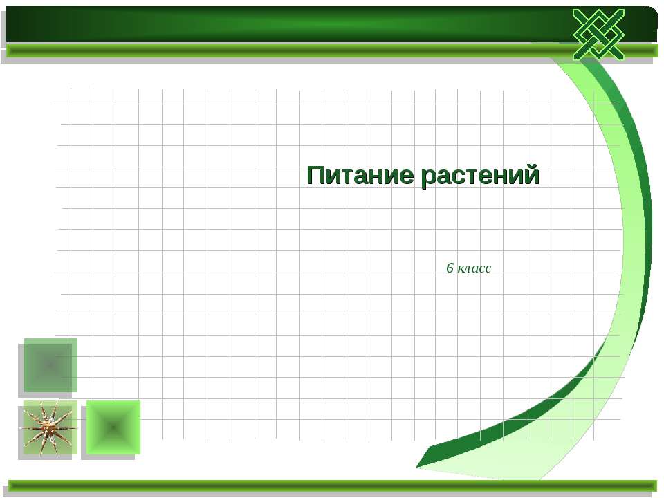 Питание растений 6 класс  - Скачать презентации бесплатно | Читать или скачать учебники для школы онлайн бесплатно ☑ Школьные учебники school-textbook.com