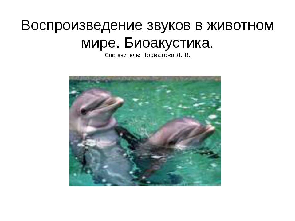 Воспроизведение звуков в животном мире. Биоакустика  - Скачать презентации бесплатно | Читать или скачать учебники для школы онлайн бесплатно ☑ Школьные учебники school-textbook.com