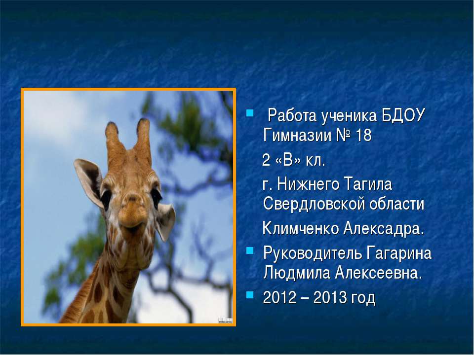 Что то очень - очень нтересное про жирафов  - Скачать презентации бесплатно | Читать или скачать учебники для школы онлайн бесплатно ☑ Школьные учебники school-textbook.com
