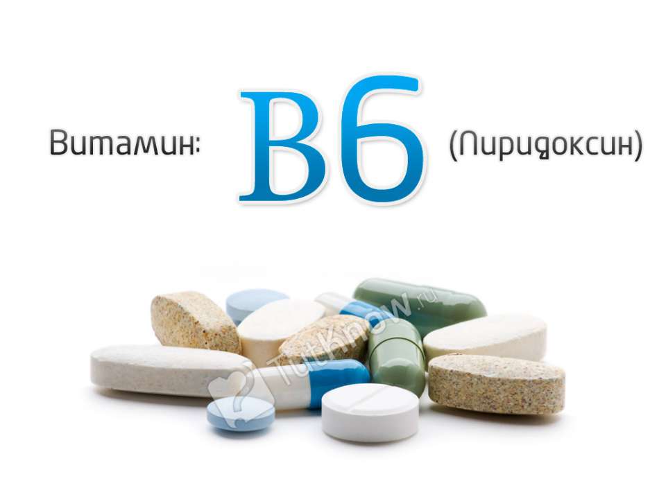 Витамин В6 (пиридоксин)  - Скачать презентации бесплатно | Читать или скачать учебники для школы онлайн бесплатно ☑ Школьные учебники school-textbook.com