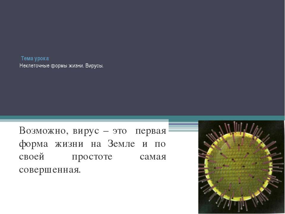 Неклеточные формы жизни. Вирусы  - Скачать презентации бесплатно | Читать или скачать учебники для школы онлайн бесплатно ☑ Школьные учебники school-textbook.com