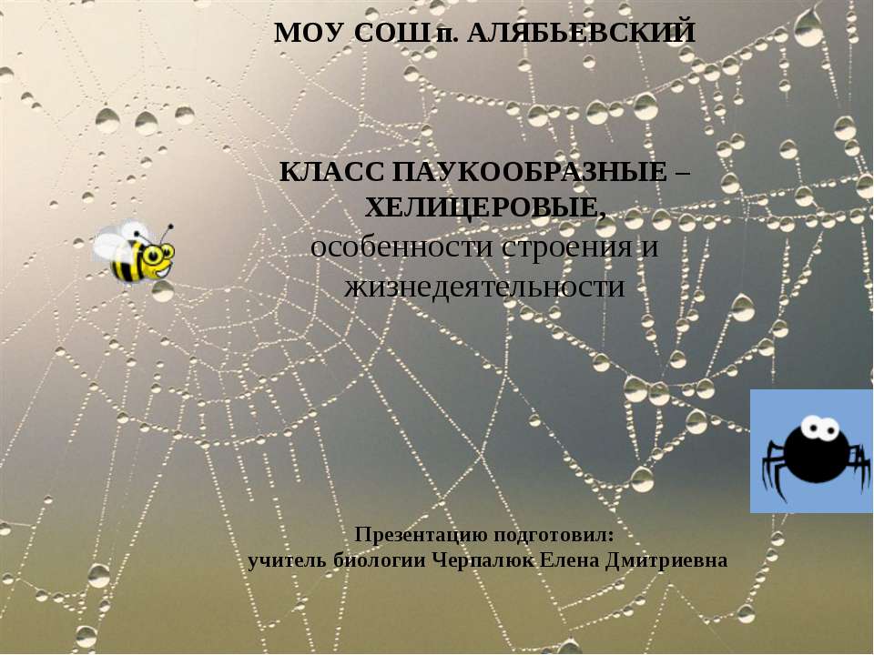 КЛАСС ПАУКООБРАЗНЫЕ – ХЕЛИЦЕРОВЫЕ. Особенности строения и жизнедеятельности  - Скачать презентации бесплатно | Читать или скачать учебники для школы онлайн бесплатно ☑ Школьные учебники school-textbook.com