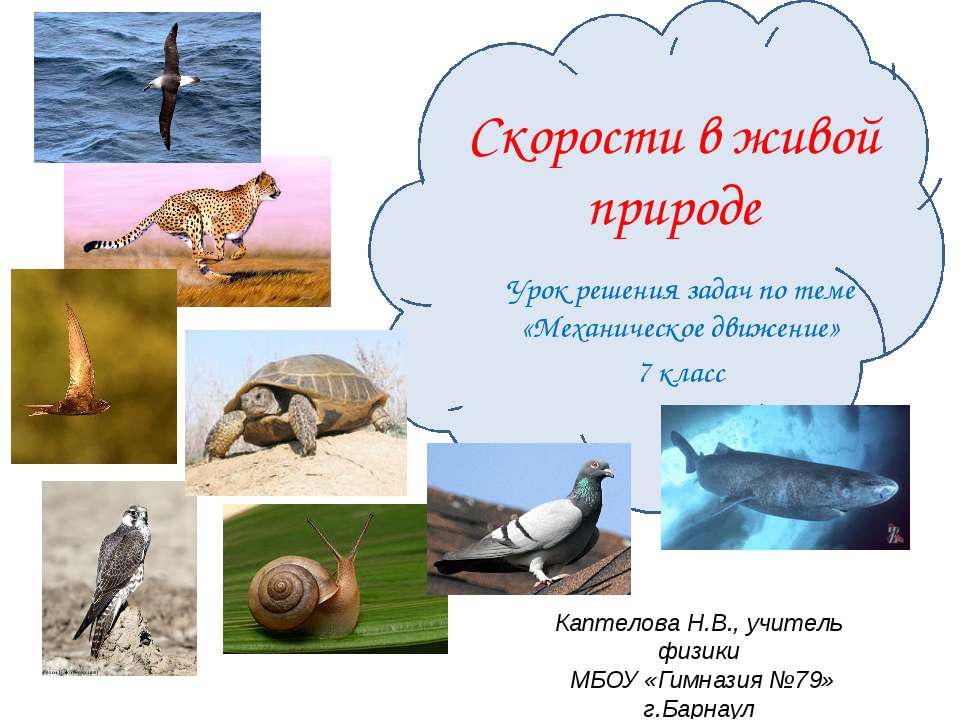 Скорости в живой природе  - Скачать презентации бесплатно | Читать или скачать учебники для школы онлайн бесплатно ☑ Школьные учебники school-textbook.com
