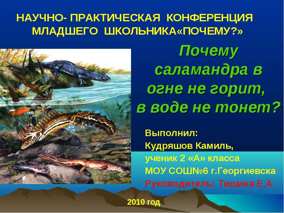 Почему саламандра в огне не горит, в воде не тонет?  - Скачать презентации бесплатно | Читать или скачать учебники для школы онлайн бесплатно ☑ Школьные учебники school-textbook.com