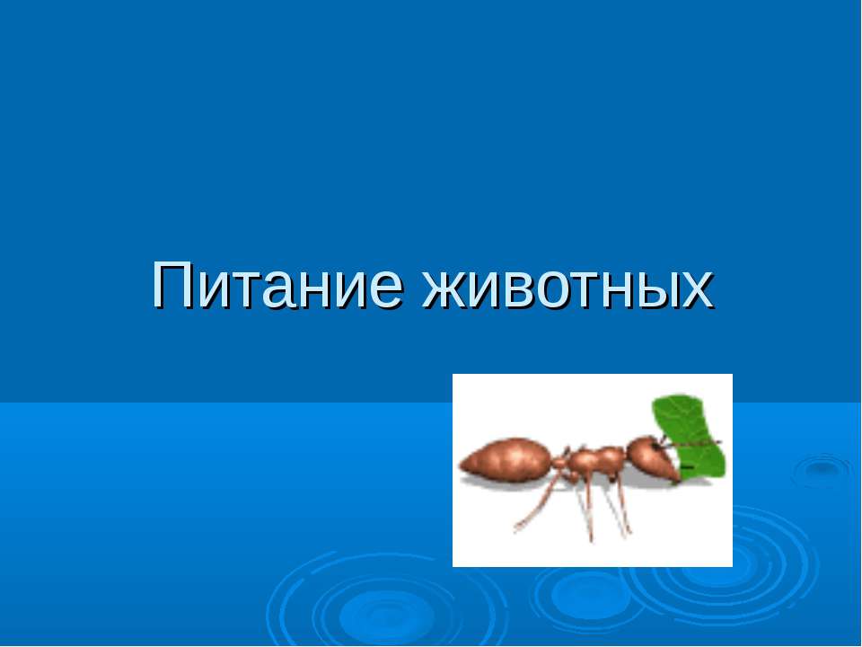 Питание животных  - Скачать презентации бесплатно | Читать или скачать учебники для школы онлайн бесплатно ☑ Школьные учебники school-textbook.com
