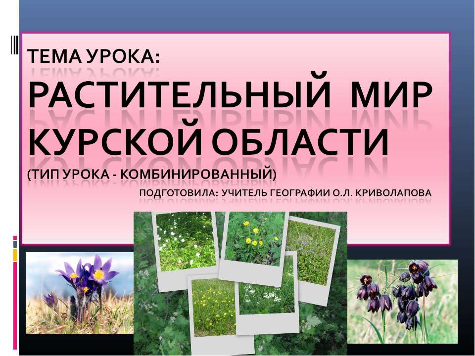 Растительный мир Курской области  - Скачать презентации бесплатно | Читать или скачать учебники для школы онлайн бесплатно ☑ Школьные учебники school-textbook.com