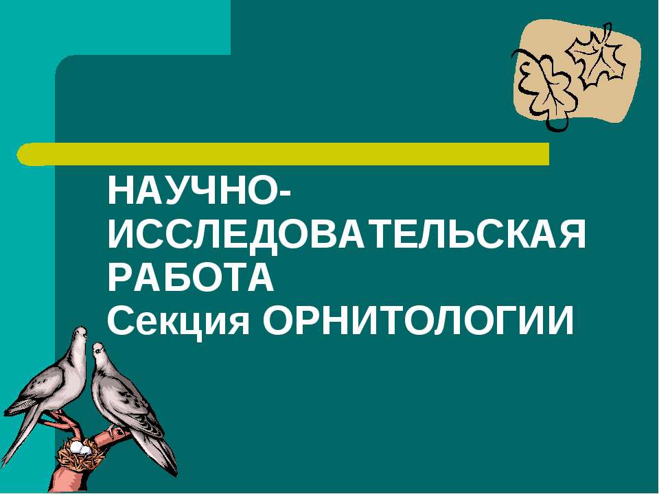 Научно-исследовательская работа Секция Орнитологии  - Скачать презентации бесплатно | Читать или скачать учебники для школы онлайн бесплатно ☑ Школьные учебники school-textbook.com