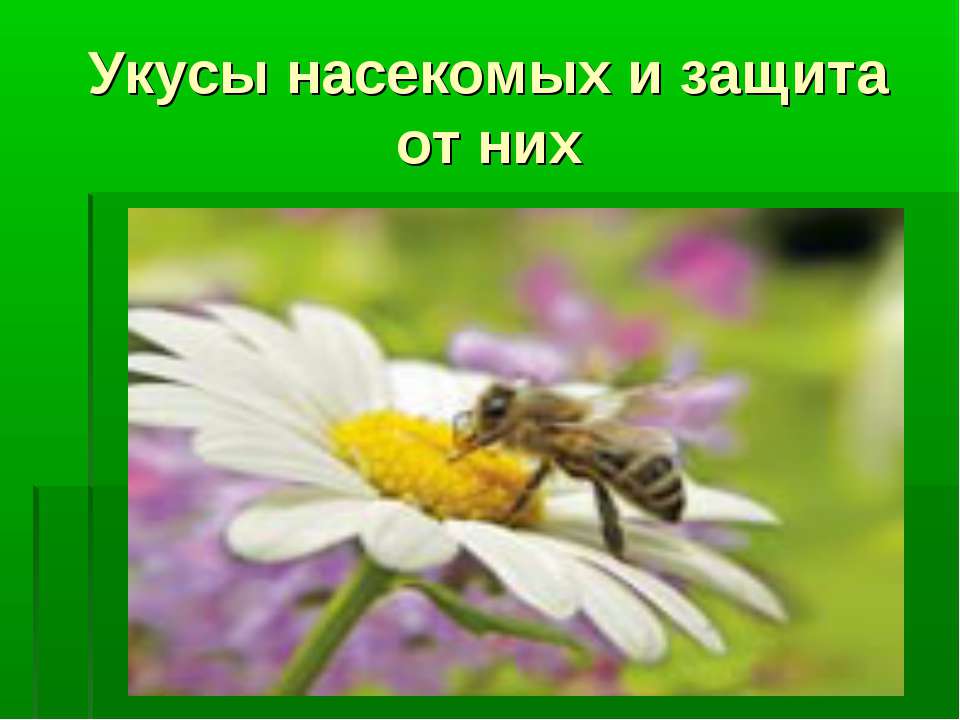 Укусы насекомых и защита от них  - Скачать презентации бесплатно | Читать или скачать учебники для школы онлайн бесплатно ☑ Школьные учебники school-textbook.com