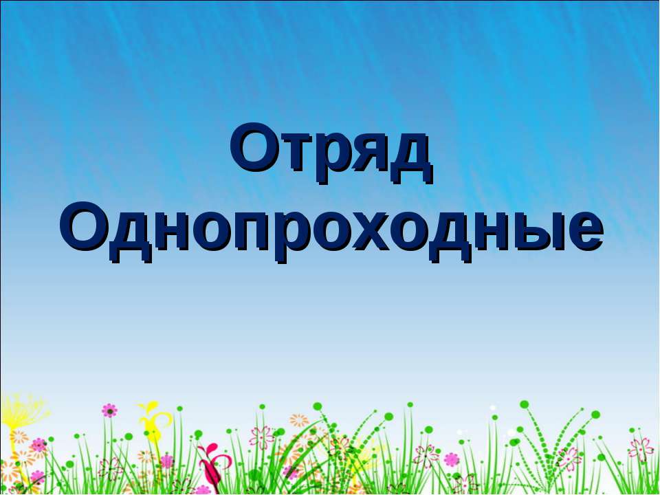 Отряд Однопроходные  - Скачать презентации бесплатно | Читать или скачать учебники для школы онлайн бесплатно ☑ Школьные учебники school-textbook.com