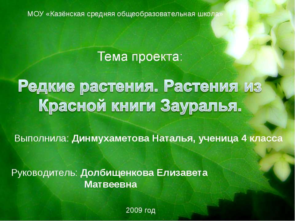 Редкие растения. Растения из Красной книги Зауралья - Скачать презентации бесплатно ☑ Презентации по предметам на gdz-books.ru