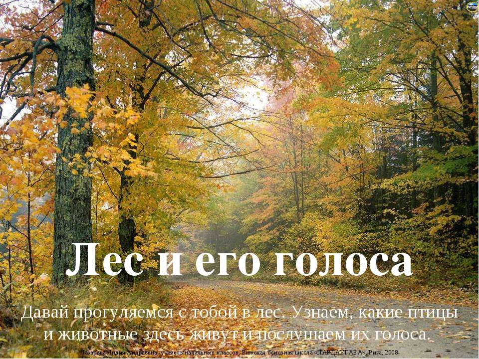 Лес и его голоса  - Скачать презентации бесплатно | Читать или скачать учебники для школы онлайн бесплатно ☑ Школьные учебники school-textbook.com