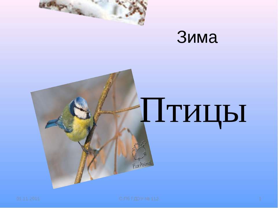 Зима. Птицы  - Скачать презентации бесплатно | Читать или скачать учебники для школы онлайн бесплатно ☑ Школьные учебники school-textbook.com