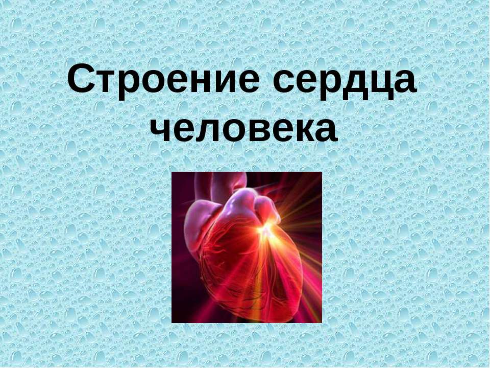 Строение сердца человека  - Скачать презентации бесплатно | Читать или скачать учебники для школы онлайн бесплатно ☑ Школьные учебники school-textbook.com