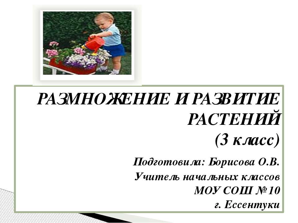 РАЗМНОЖЕНИЕ И РАЗВИТИЕ РАСТЕНИЙ  - Скачать презентации бесплатно | Читать или скачать учебники для школы онлайн бесплатно ☑ Школьные учебники school-textbook.com
