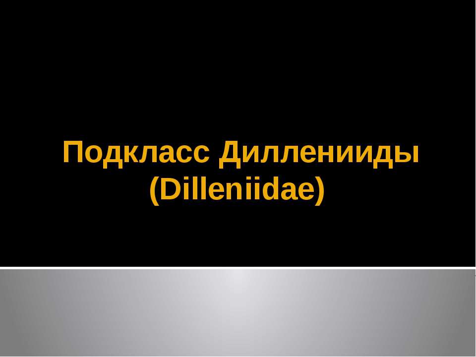 Подкласс Дилленииды (Dilleniidae)  - Скачать презентации бесплатно | Читать или скачать учебники для школы онлайн бесплатно ☑ Школьные учебники school-textbook.com