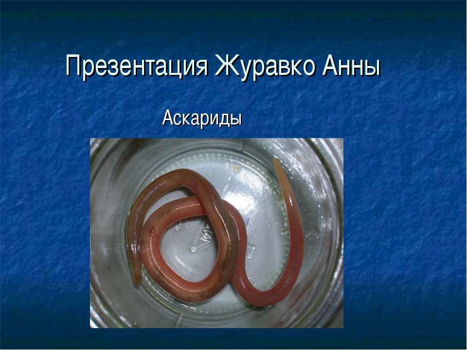 Аскариды - Скачать презентации бесплатно ☑ Презентации по предметам на gdz-books.ru