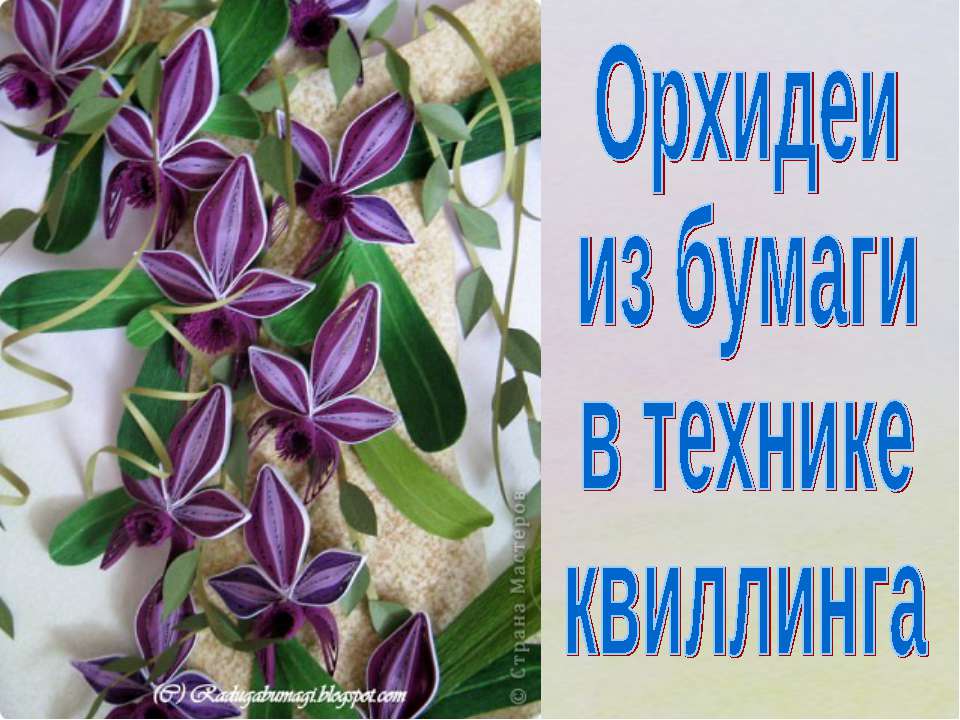 Орхидеи из бумаги в технике квиллинга  - Скачать презентации бесплатно | Читать или скачать учебники для школы онлайн бесплатно ☑ Школьные учебники school-textbook.com
