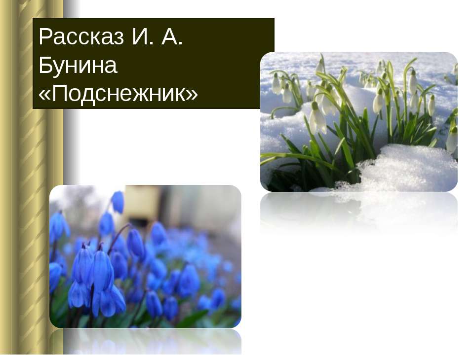 Рассказ И.А. Бунина «Подснежник»  - Скачать презентации бесплатно | Читать или скачать учебники для школы онлайн бесплатно ☑ Школьные учебники school-textbook.com
