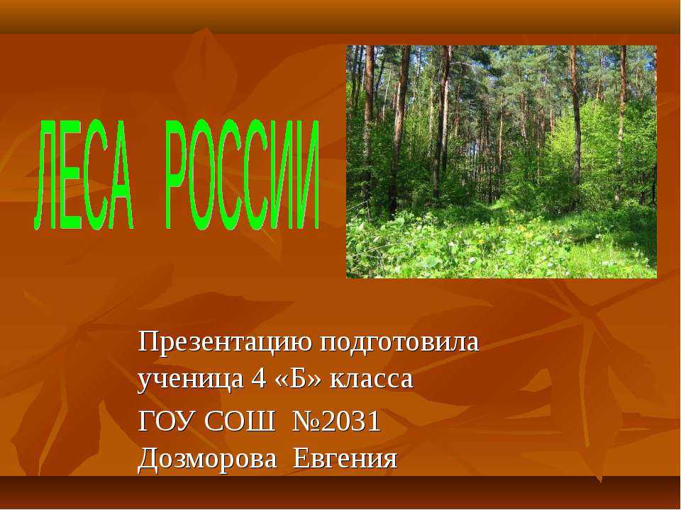 Леса России (4 класс)  - Скачать презентации бесплатно | Читать или скачать учебники для школы онлайн бесплатно ☑ Школьные учебники school-textbook.com