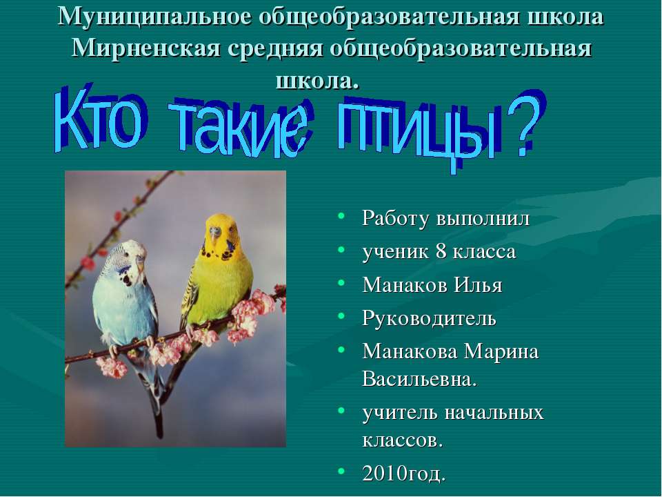 Кто такие птицы?  - Скачать презентации бесплатно | Читать или скачать учебники для школы онлайн бесплатно ☑ Школьные учебники school-textbook.com
