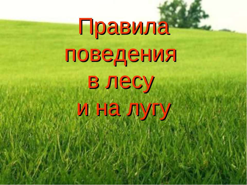 Правила поведения в лесу и на лугу - Скачать презентации бесплатно ☑ Презентации по предметам на gdz-books.ru