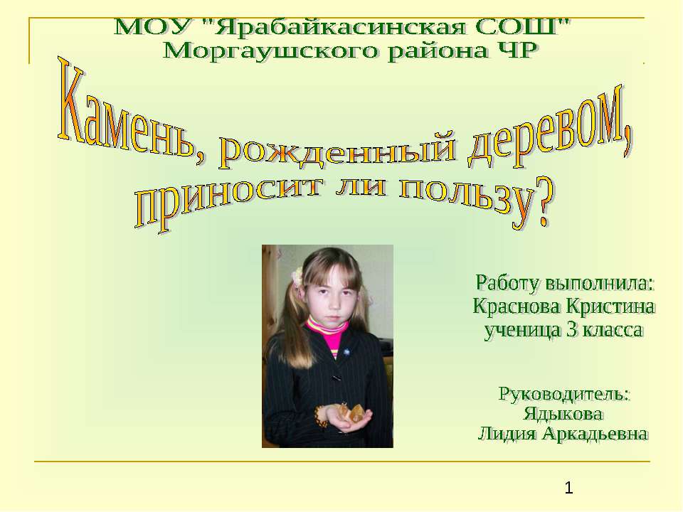 Камень, рожденный деревом, приносит ли пользу? - Скачать презентации бесплатно ☑ Презентации по предметам на gdz-books.ru