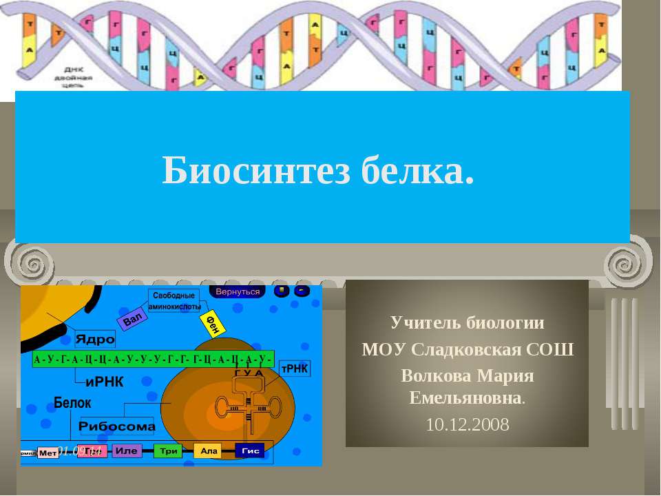 Биосинтез белка 9 класс  - Скачать презентации бесплатно | Читать или скачать учебники для школы онлайн бесплатно ☑ Школьные учебники school-textbook.com