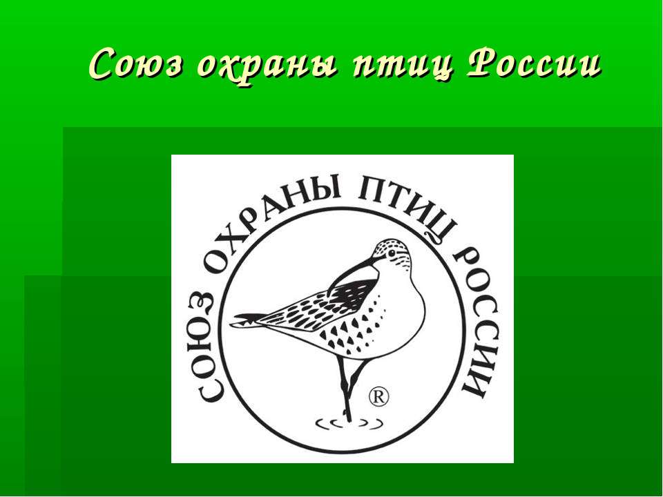 Союз охраны птиц России  - Скачать презентации бесплатно | Читать или скачать учебники для школы онлайн бесплатно ☑ Школьные учебники school-textbook.com