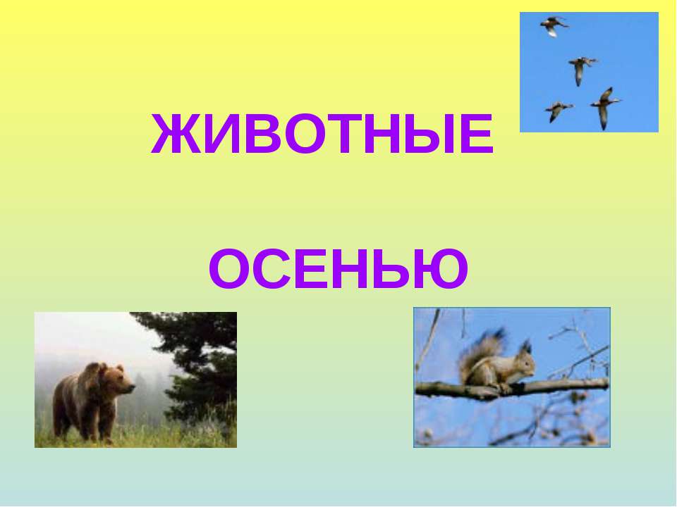 Животные осенью - Скачать презентации бесплатно ☑ Презентации по предметам на gdz-books.ru