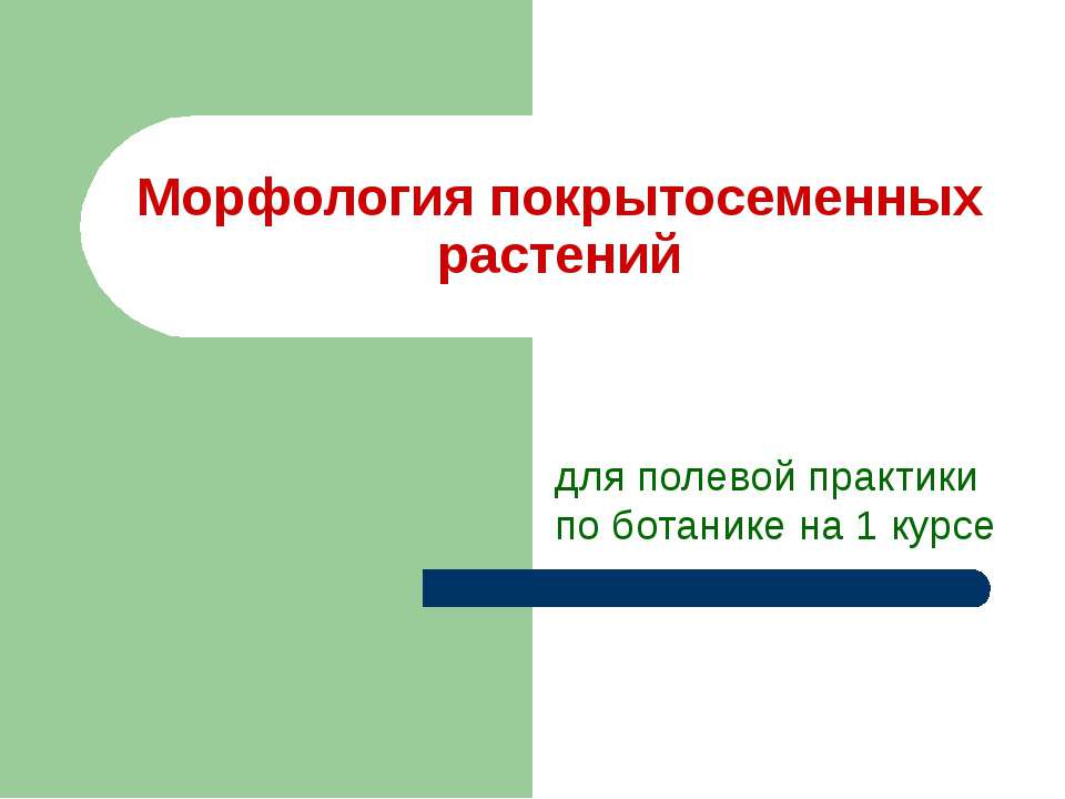 Морфология покрытосеменных растений  - Скачать презентации бесплатно | Читать или скачать учебники для школы онлайн бесплатно ☑ Школьные учебники school-textbook.com