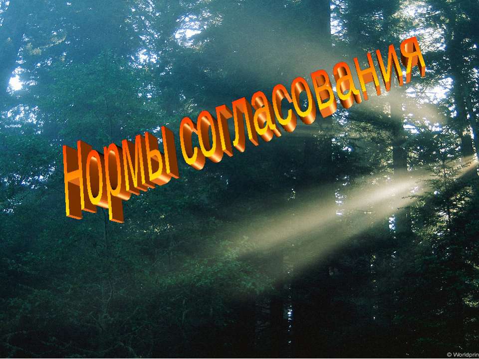 Нормы согласования - Скачать презентации бесплатно ☑ Презентации по предметам на gdz-books.ru