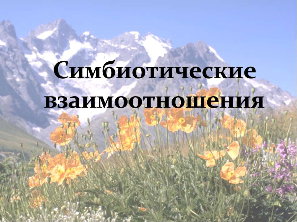 Симбиотические отношения  - Скачать презентации бесплатно | Читать или скачать учебники для школы онлайн бесплатно ☑ Школьные учебники school-textbook.com