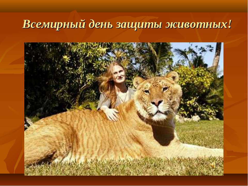 Всемирный день защиты животных  - Скачать презентации бесплатно | Читать или скачать учебники для школы онлайн бесплатно ☑ Школьные учебники school-textbook.com