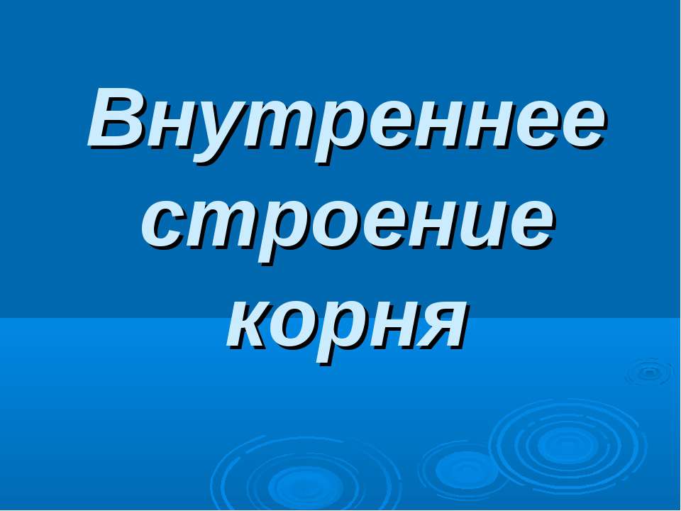 Внутреннее строение корня - Скачать презентации бесплатно ☑ Презентации по предметам на gdz-books.ru