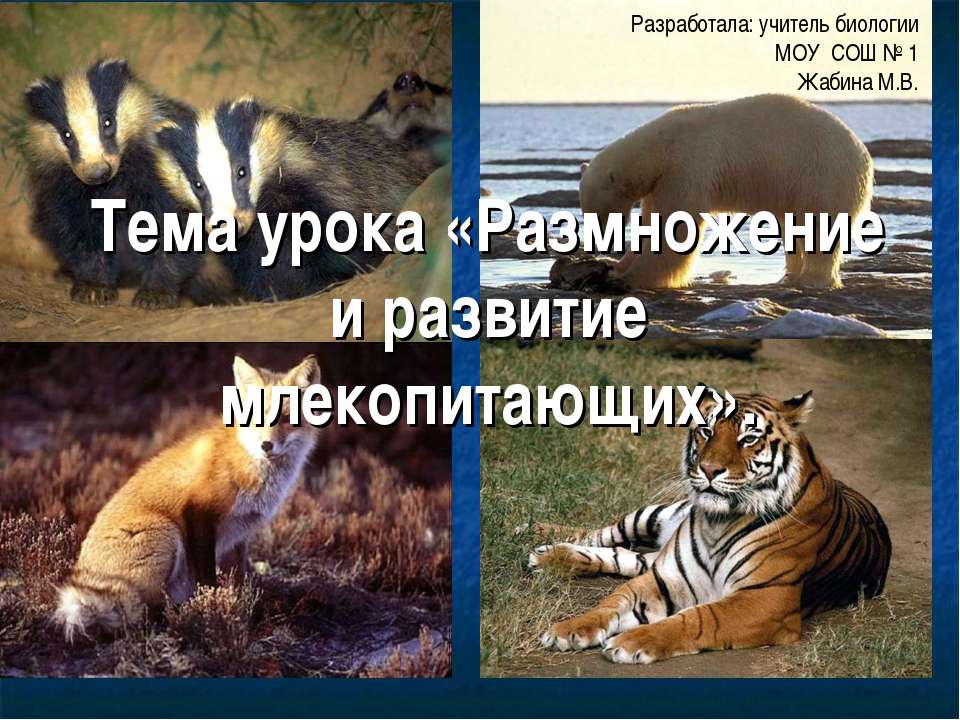Размножение и развитие млекопитающих  - Скачать презентации бесплатно | Читать или скачать учебники для школы онлайн бесплатно ☑ Школьные учебники school-textbook.com